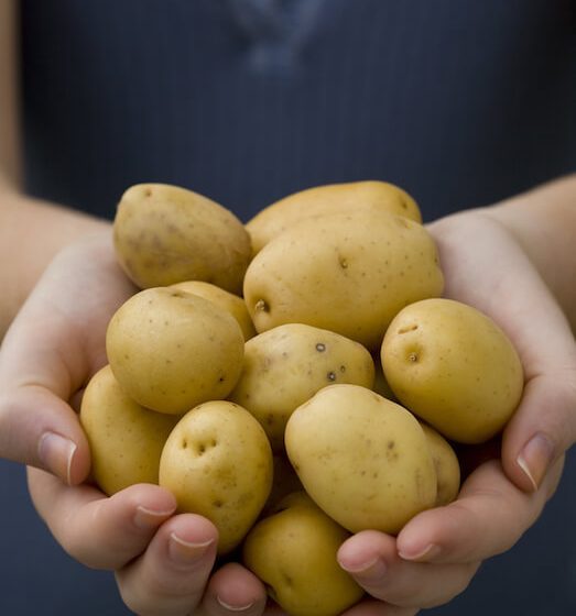 Creamer potatoes are one of the best sources of potassium in the entire vegetable world