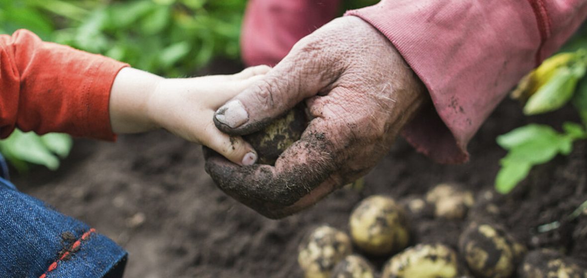 Nutrition starts at home, so get cookin’