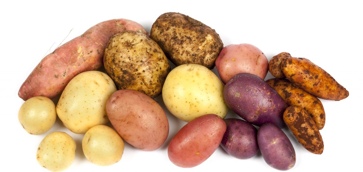 Are All Potatoes Created Nutritionally Equal?