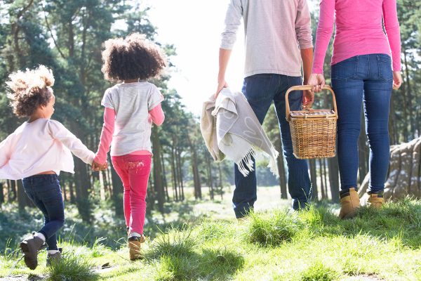 How to Host an Easy, Tasty Picnic