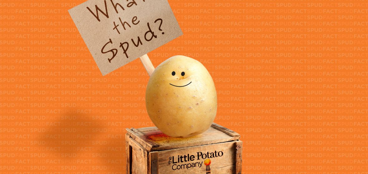 What the spud? All about Little Potatoes